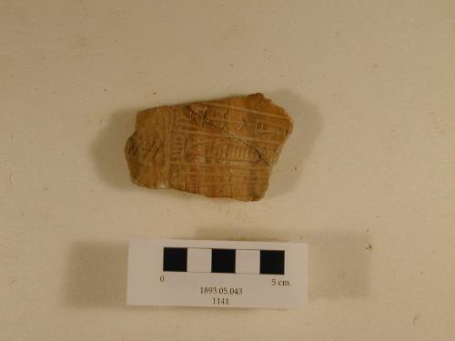 Rimus Bowl Fragment